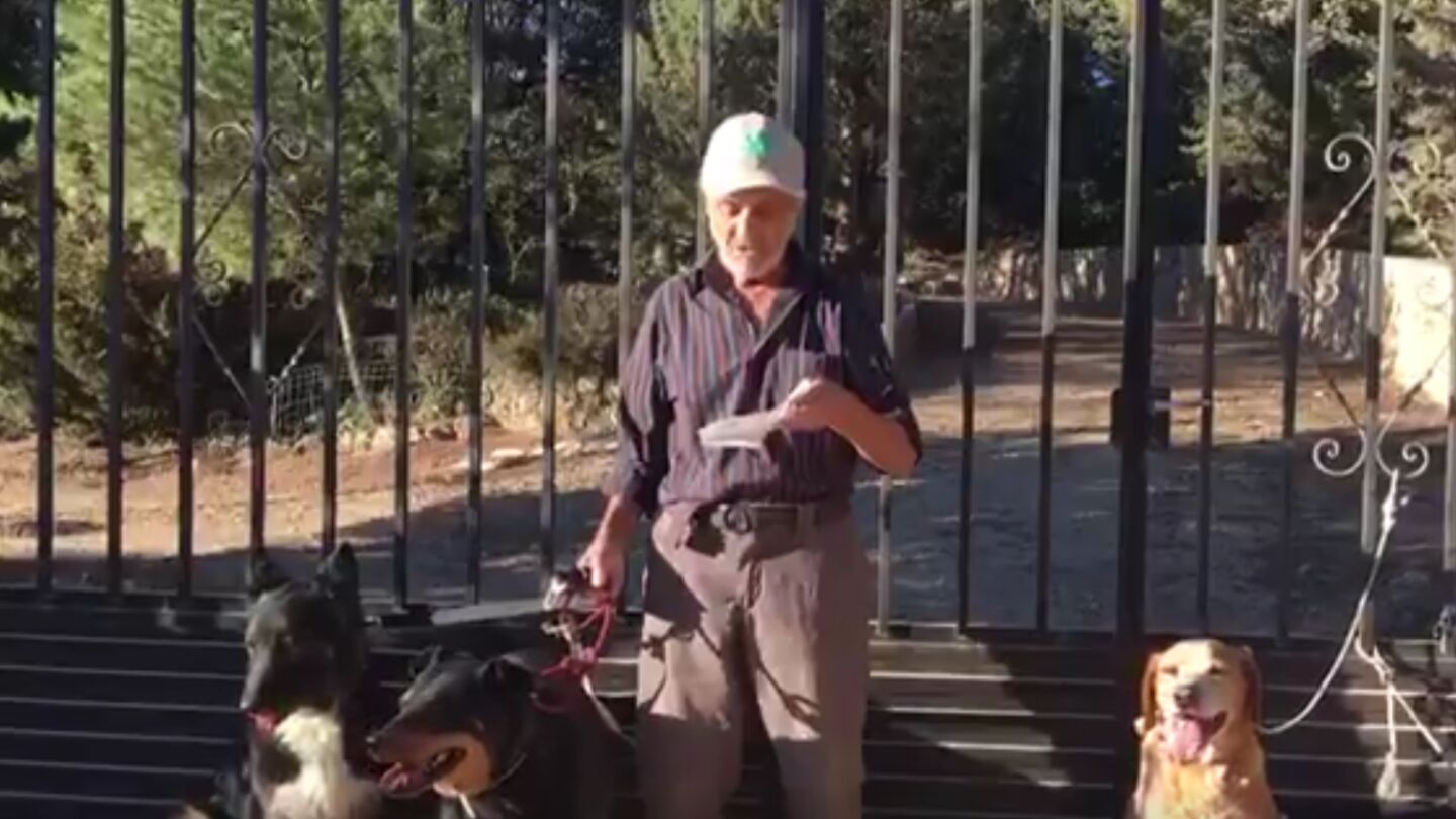 Santiago, en el mensaje en el que busca hogar para sus seis perros