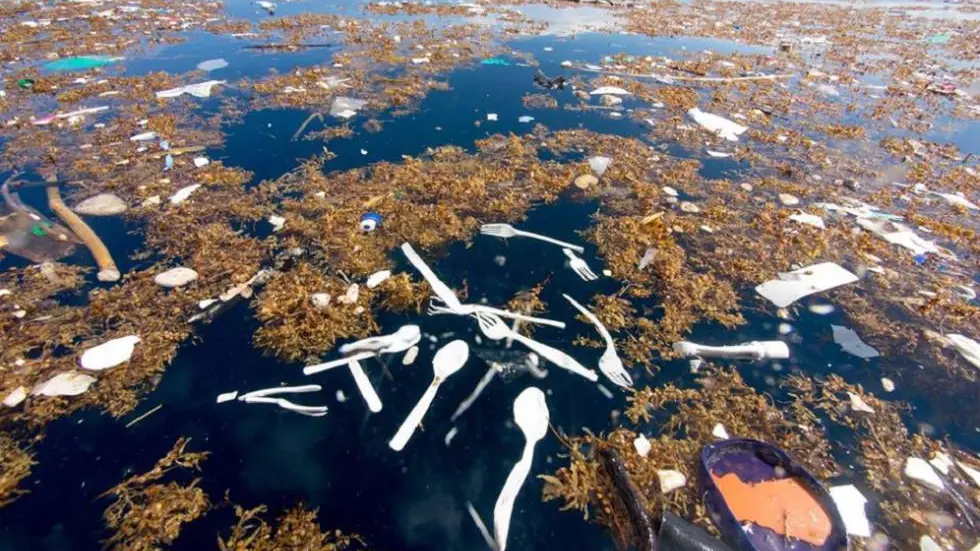 Hallan un mar de plástico en Honduras