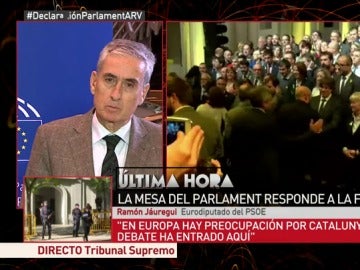 Fernando Jáuregui, eurodiputado del PSOE Fernando Jáuregui, eurodiputado del PSOE