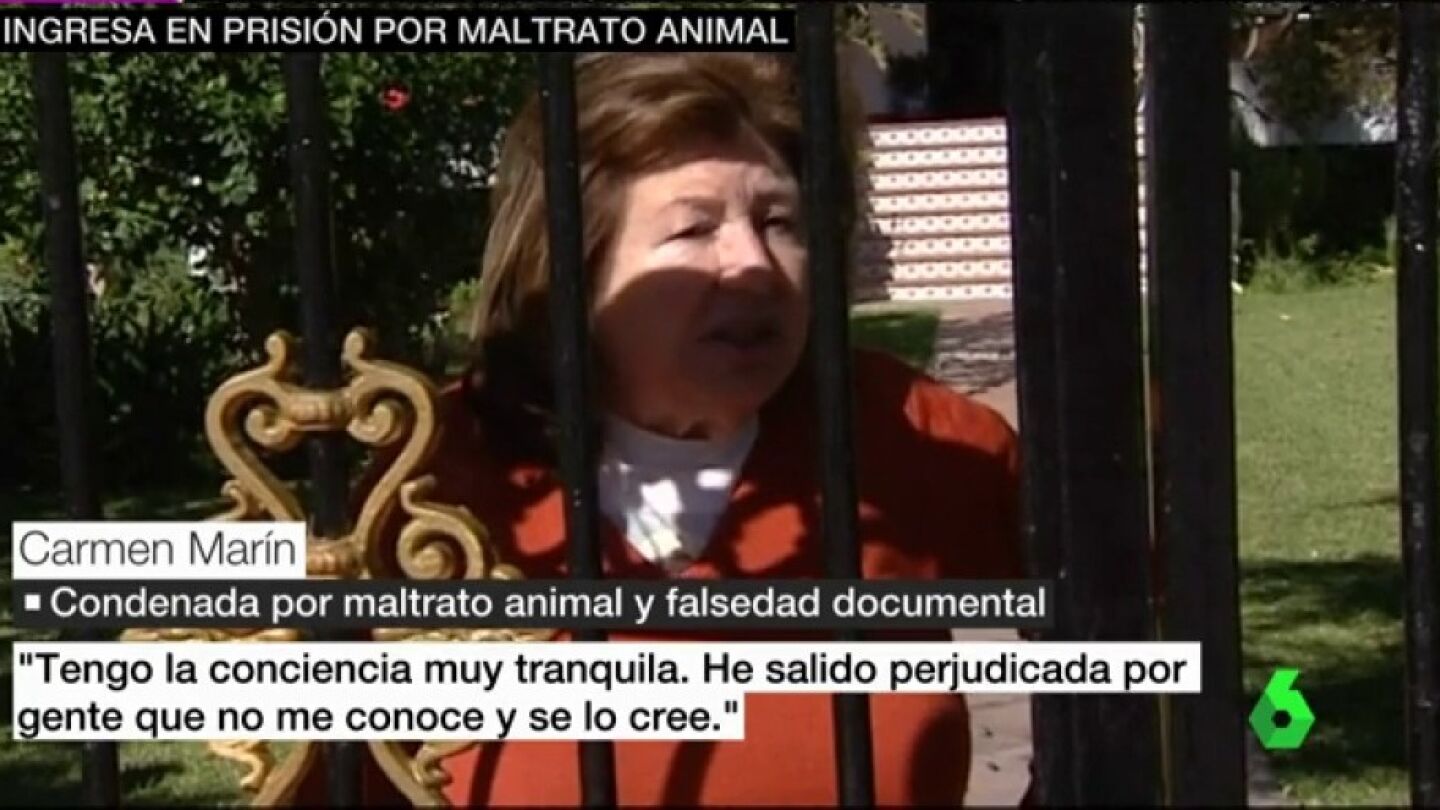 Carmen Mart&iacute;n, condenada por maltrato animal