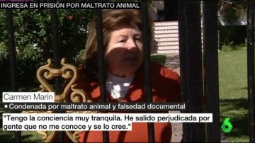 Carmen Martín, condenada por maltrato animal