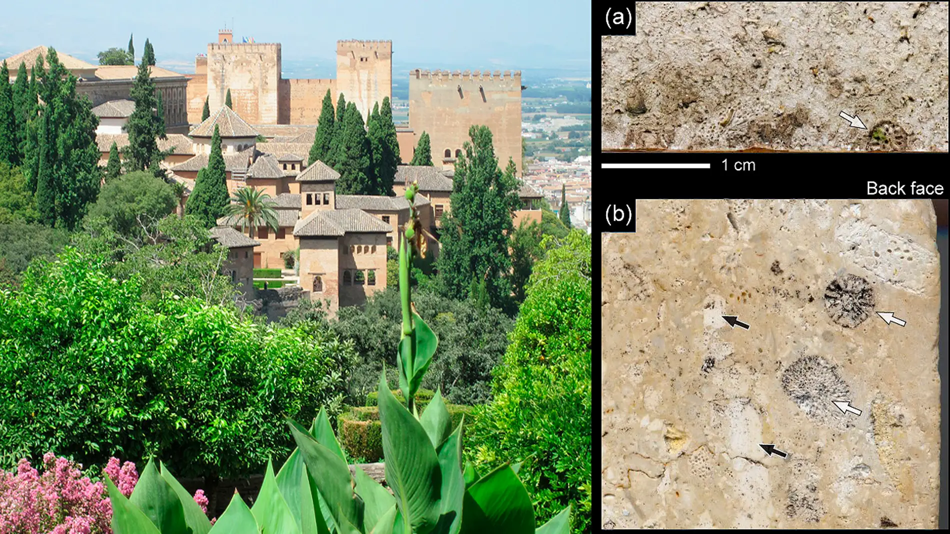 El humo de los coches y la quema de rastrojos pintan de hollin la Alhambra