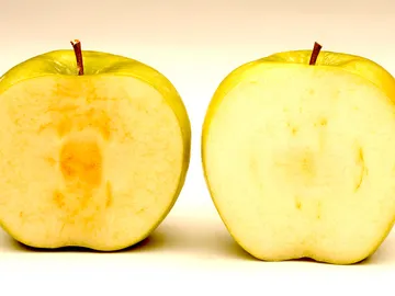 Manzanas Artica Manzanas Artica
