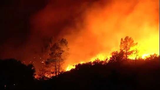¿Qué consecuencias tiene para el medio ambiente los incendios forestales de Galicia? ¿Qué consecuencias tiene para el medio ambiente los incendios forestales de Galicia?