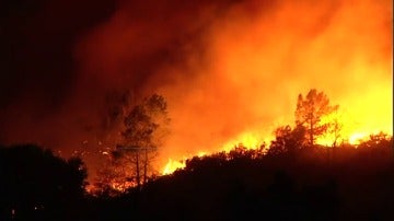 ¿Qué consecuencias tiene para el medio ambiente los incendios forestales de Galicia?