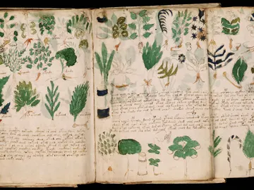 Manuscrito Voynich Manuscrito Voynich
