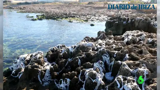 Toallitas invaden la costa de Ibiza Toallitas invaden la costa de Ibiza