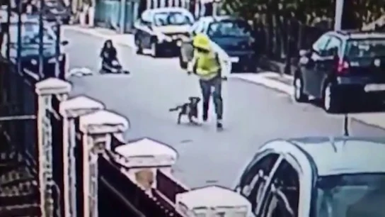 Un perro salva a una mujer de un ladrón Un perro salva a una mujer de un ladrón