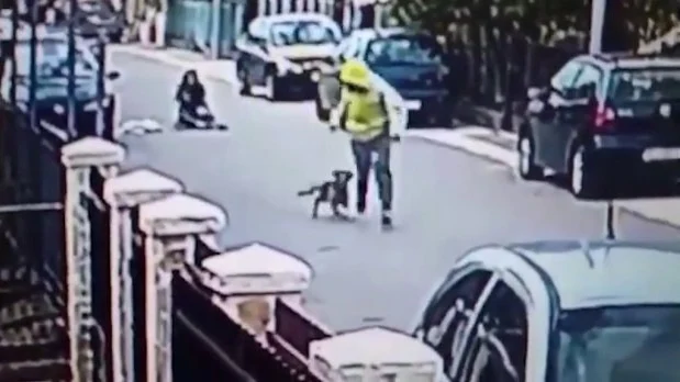 Un perro salva a una mujer de un ladrón 