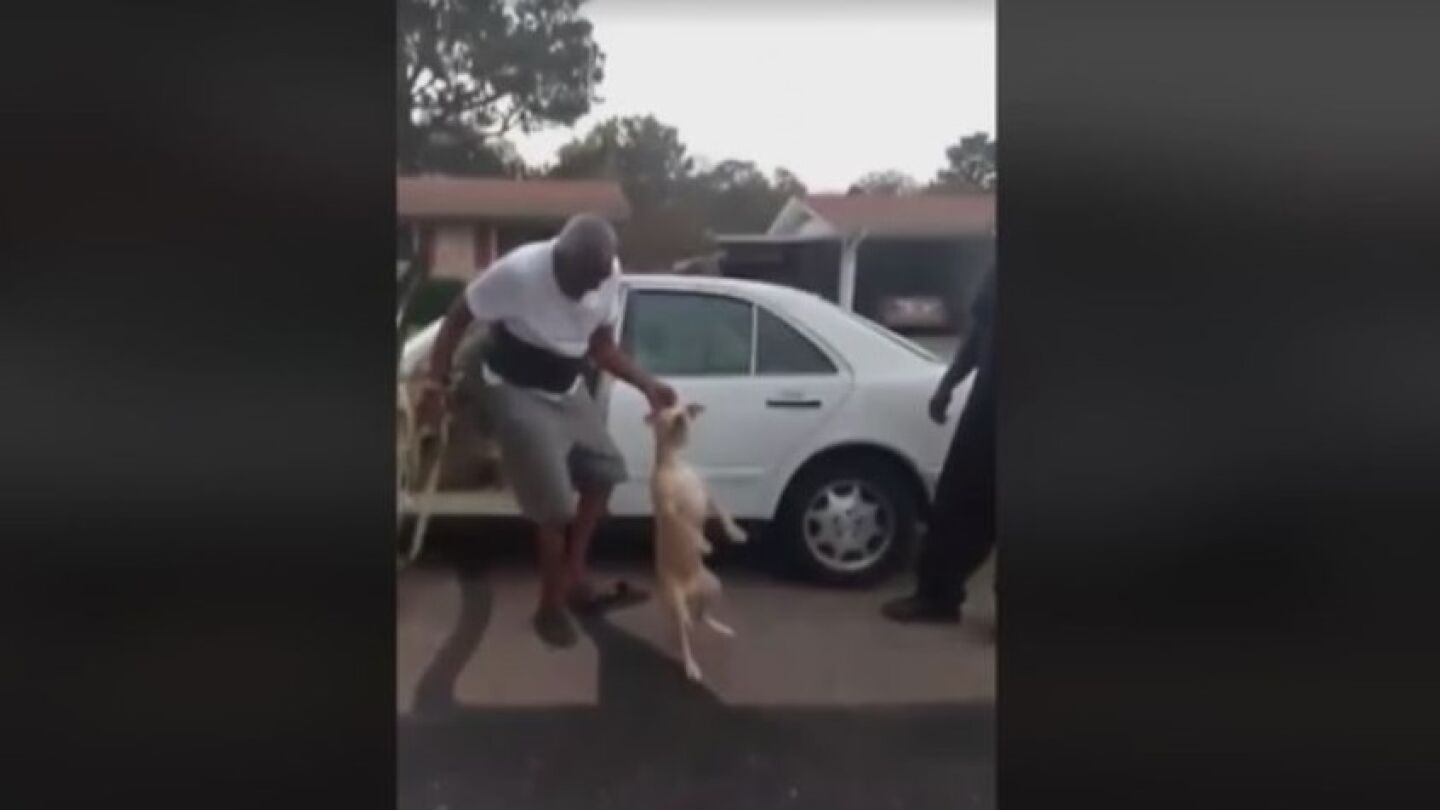 Una captura de la brutal agresi&oacute;n a un perro