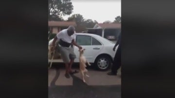 Una captura de la brutal agresión a un perro