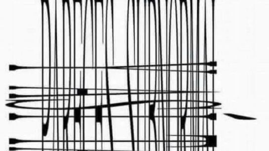 Ilusi&oacute;n &oacute;ptica que solo puedes ver con un smartphone