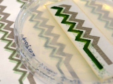 Un grupo de investigadores crean un papel de pared capaz de recoger energía solar Un grupo de investigadores crean un papel de pared capaz de recoger energía solar