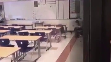 Unos alumnos pillan a su profesora consumiendo droga en plena clase