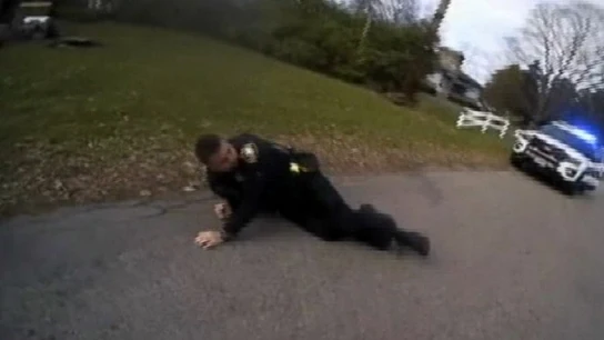 Un policía dispara accidentalmente a su compañero con una pistola eléctrica durante una detención en Estados Unidos Un policía dispara accidentalmente a su compañero con una pistola eléctrica durante una detención en Estados Unidos