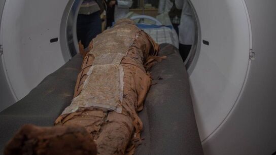 Realizan un TAC a una momia egipcia