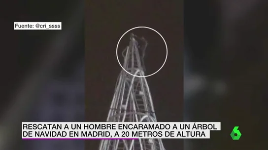 hombre subido a un arbol hombre subido a un arbol