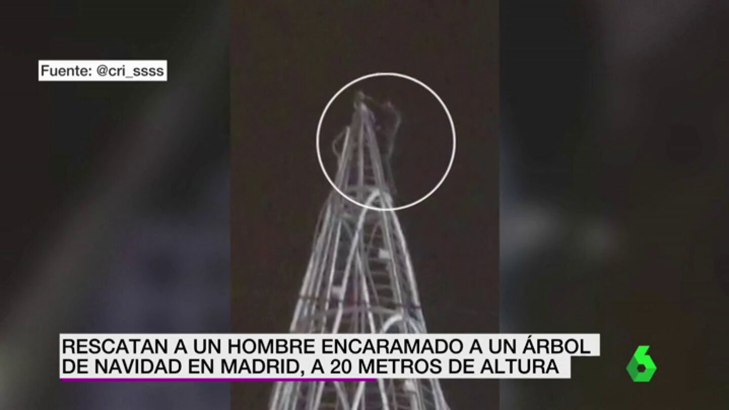 hombre subido a un arbol