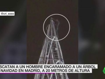 hombre subido a un arbol hombre subido a un arbol