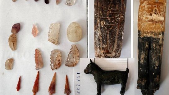 Parte de las piezas incautadas