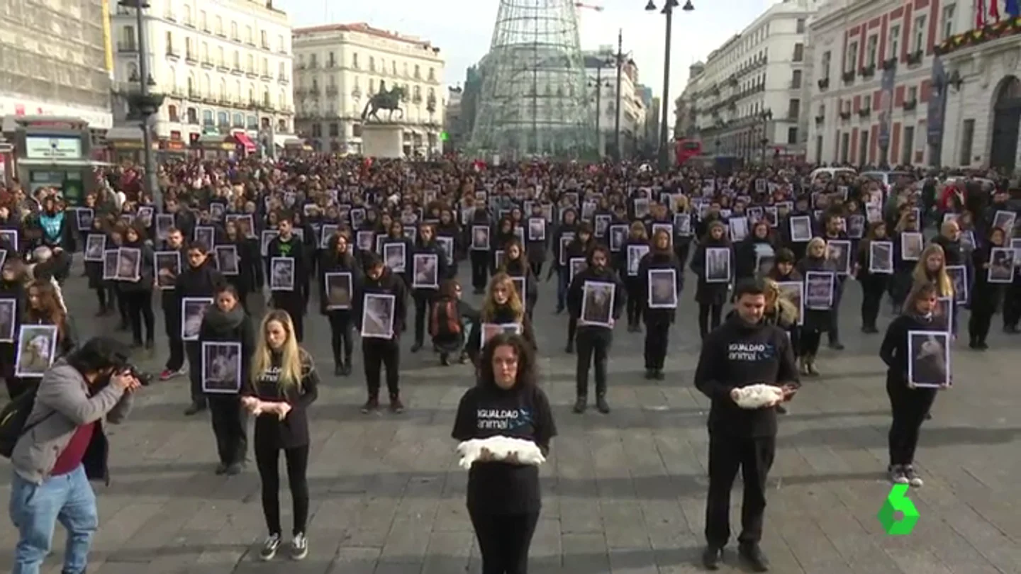 Igualdad Animal exhibe en en la Puerta del Sol cadáveres de cerdos, pollos y conejos para exigir más derechos animales Igualdad Animal exhibe en en la Puerta del Sol cadáveres de cerdos, pollos y conejos para exigir más derechos animales