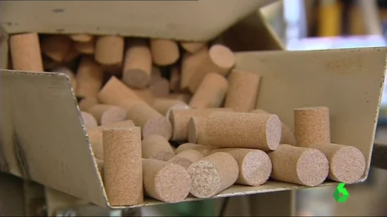 Extremadura produce el 12% del corcho mundial Extremadura produce el 12% del corcho mundial