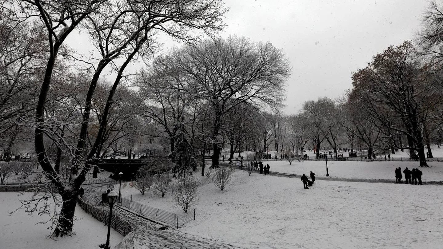 Central Park nevado Central Park nevado