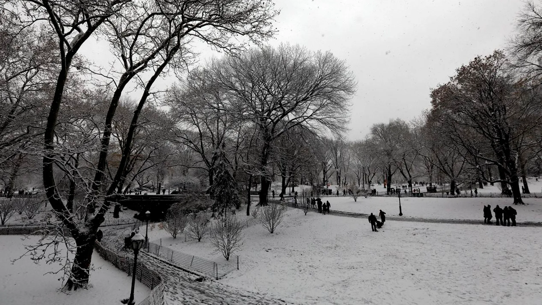 Central Park nevado
