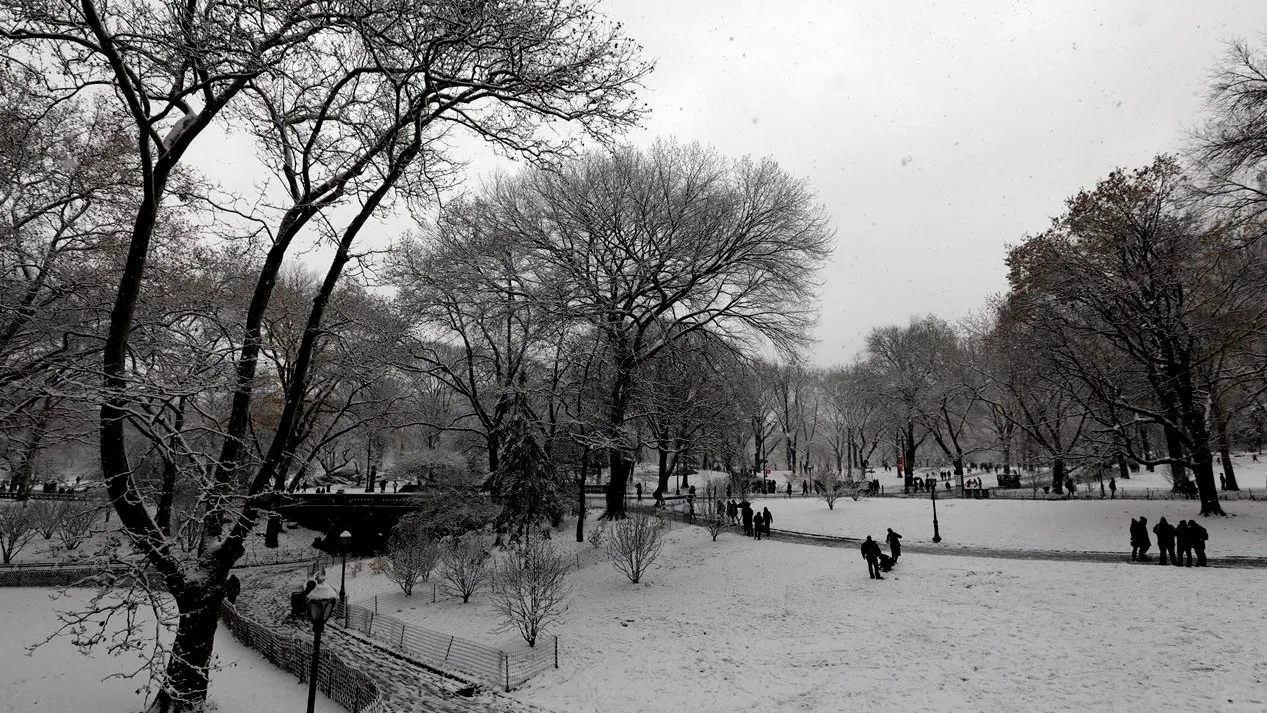 Central Park nevado