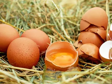 Huevos Huevos
