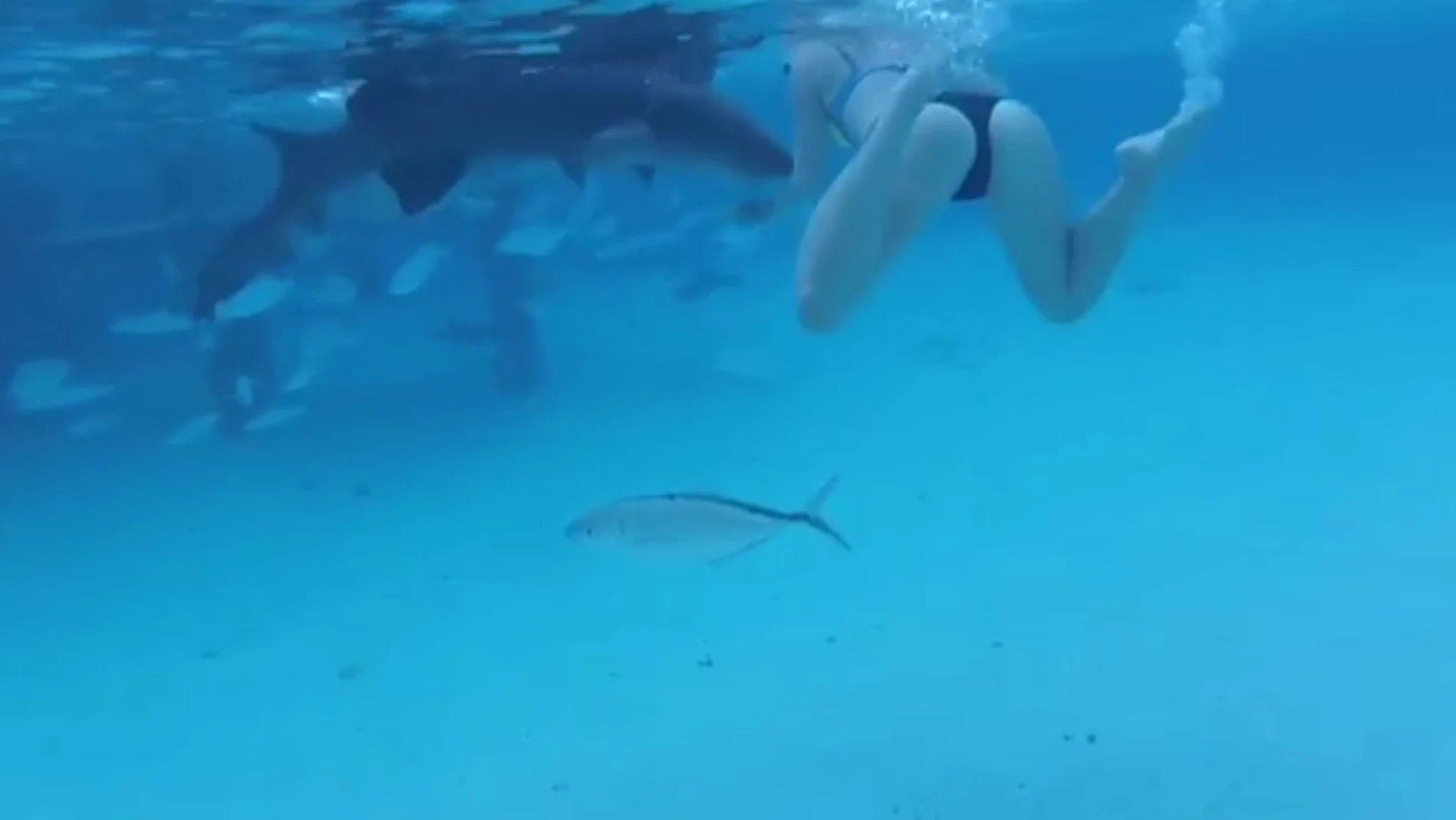 Ataque de un tiburón a una joven