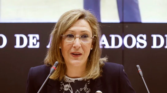 La decana del Colegio de Abogados de Madrid, Sonia Gumpert La decana del Colegio de Abogados de Madrid, Sonia Gumpert