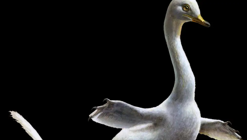 Recreación del ‘Halszkaraptor escuilliei’, un dinosaurio anfibio con apariencia de pato