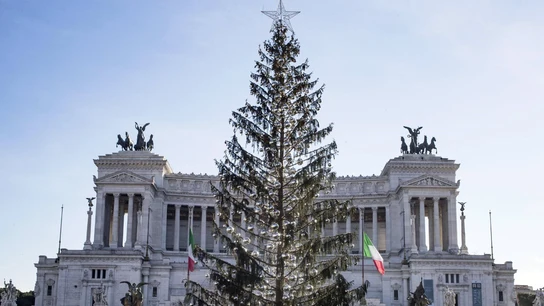 Árbol de Navidad muerto en Roma Árbol de Navidad muerto en Roma