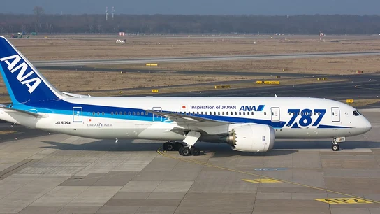 Imagen de un avión de la compañía ANA Imagen de un avión de la compañía ANA