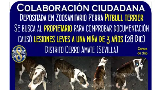 Imagen del perro que atacó a la niña Imagen del perro que atacó a la niña