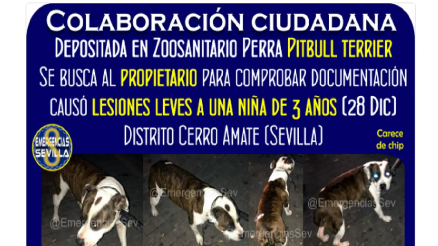 Imagen del perro que atacó a la niña Imagen del perro que atacó a la niña