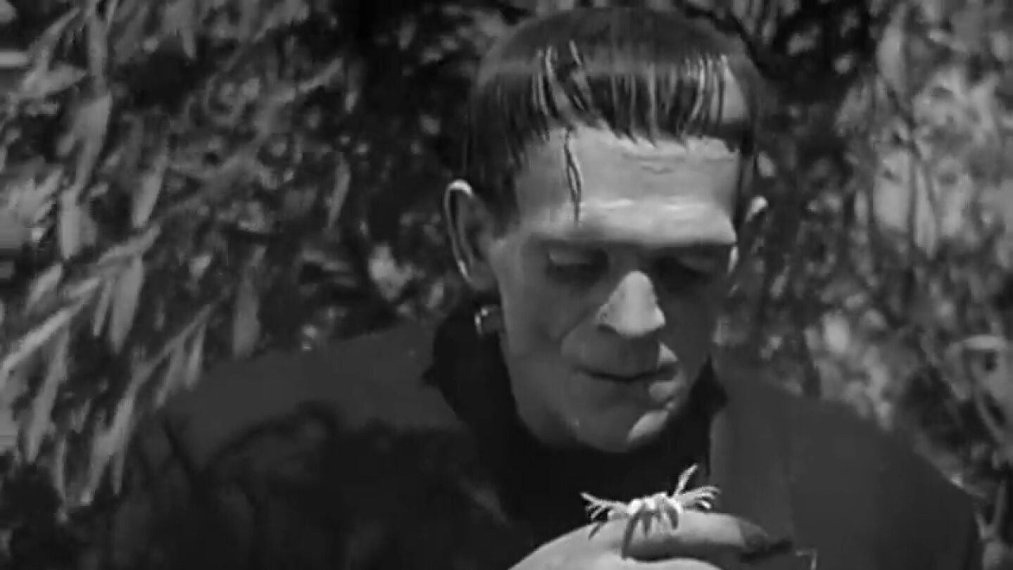 Imagen de Frankenstein