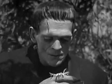 Imagen de Frankenstein Imagen de Frankenstein