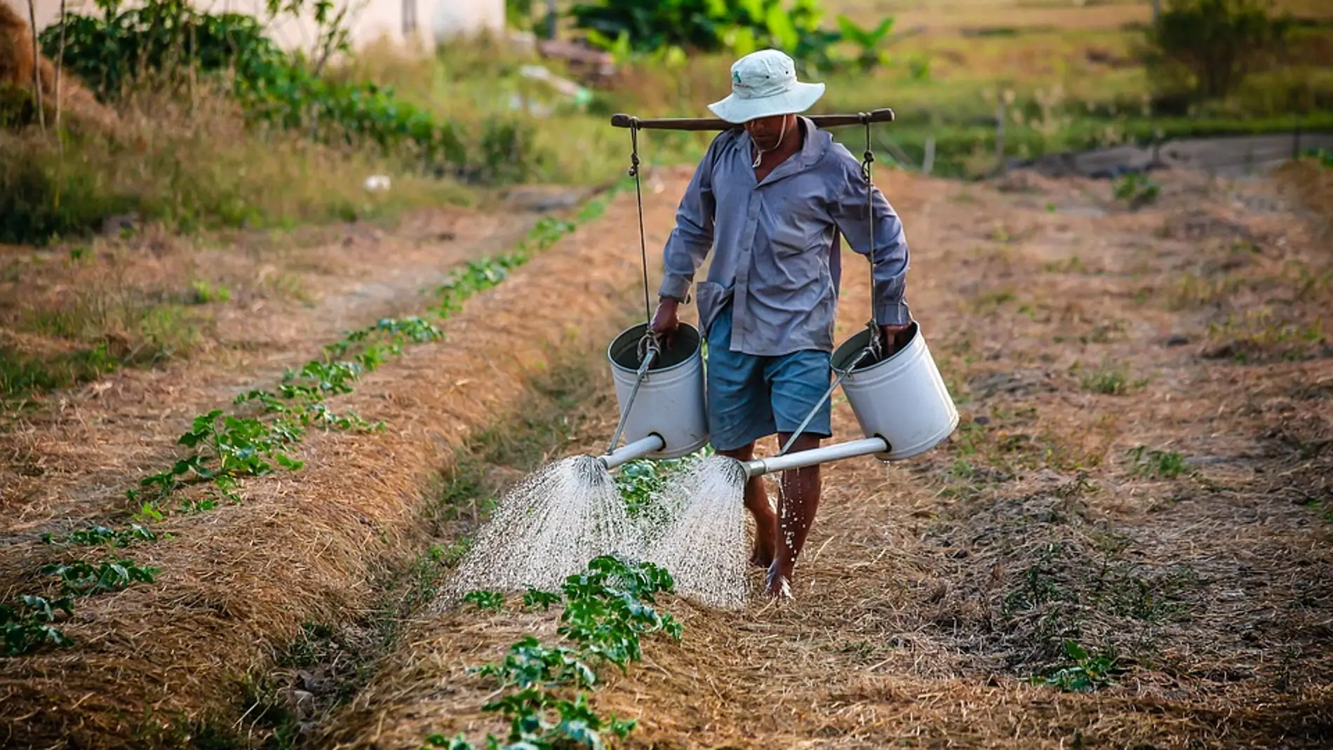 Los hombres de paises ricos son cada vez mas altos por la dieta rica en nitrogeno y fosforo