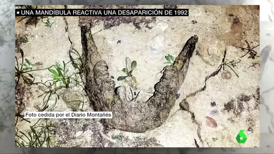 Mandíbula encontrada en el pantano del Ebro Mandíbula encontrada en el pantano del Ebro