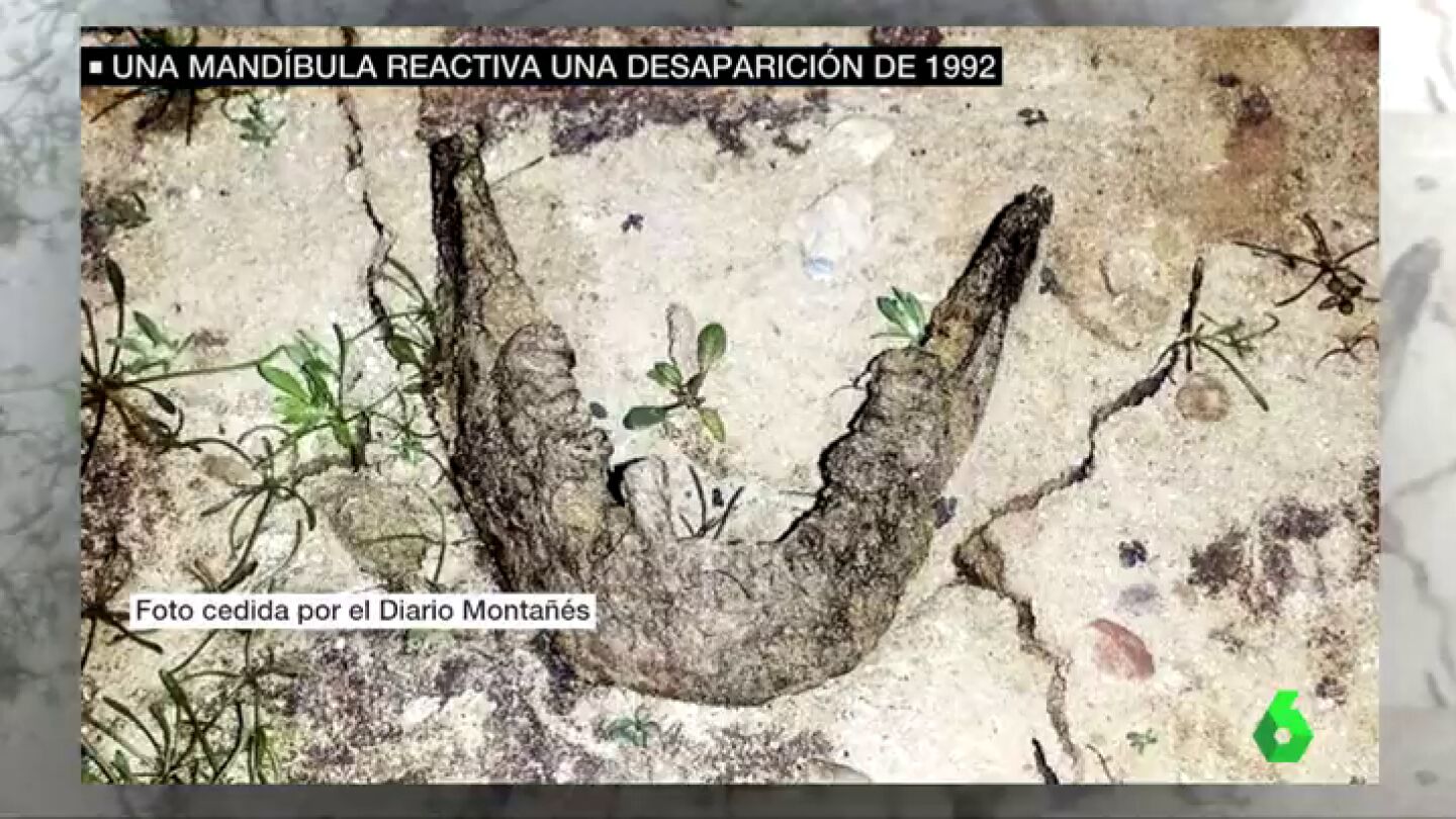 Mand&iacute;bula encontrada en el pantano del Ebro