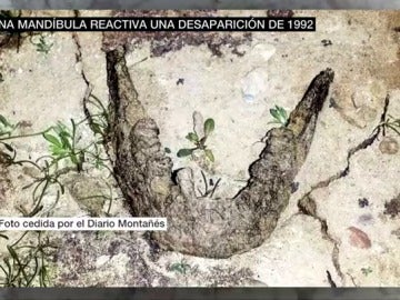 Mandíbula encontrada en el pantano del Ebro Mandíbula encontrada en el pantano del Ebro