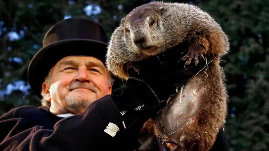 Punxsutawney. Día de la Marmota Qué sería un viaje a Punxsutawney sin visitar a Phil. Llega el día de la marmota