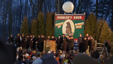 Punxsutawney. Día de la Marmota Qué sería un viaje a Punxsutawney sin visitar a Phil. Llega el día de la marmota