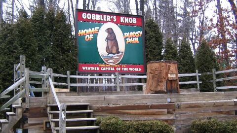 Qué sería un viaje a Punxsutawney sin visitar a Phil. Llega el día de la marmota 