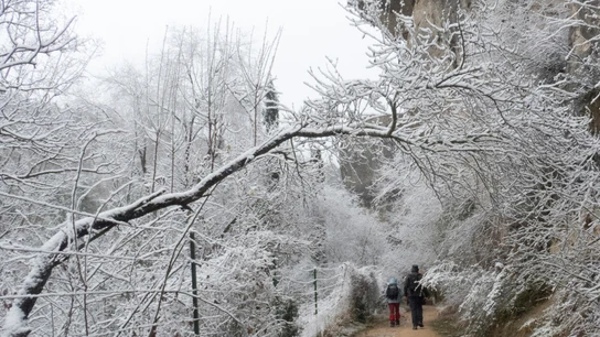 Paseo del Huécar de Cuenca nevado Paseo del Huécar de Cuenca nevado