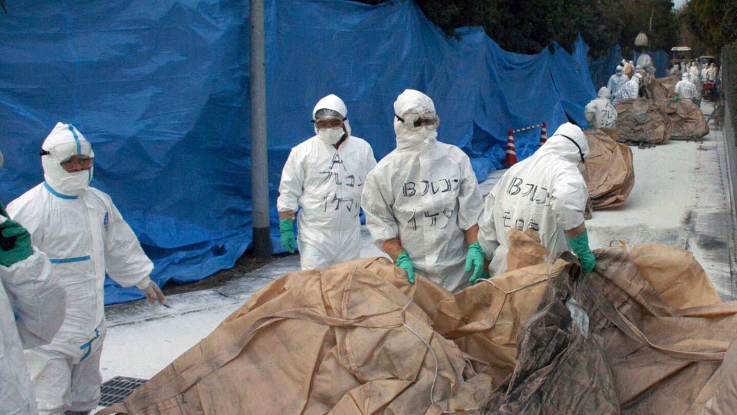 Varios inspectores sanitarios que se disponen a sacrificar pollos en una granja de Jap&oacute;n