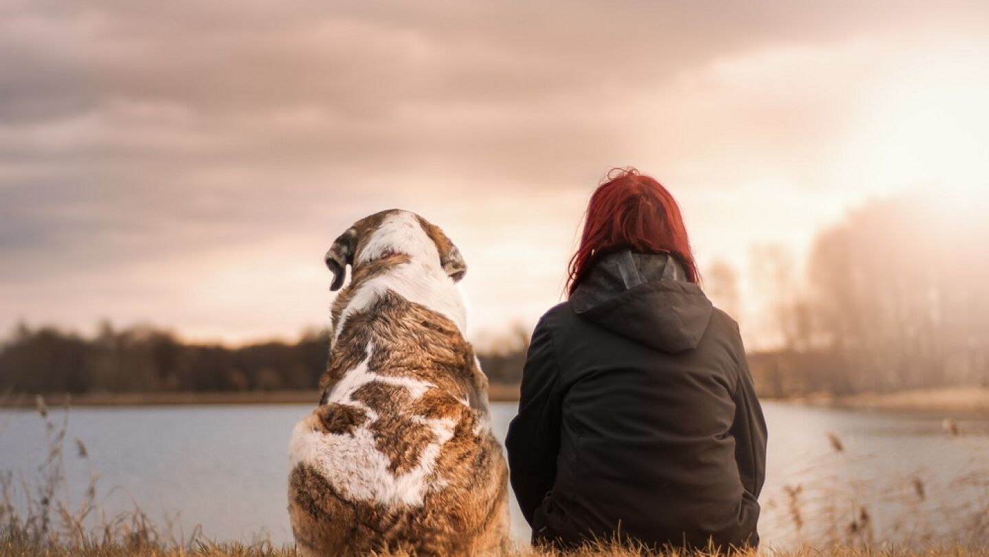 Se celebra en Espa&ntilde;a el primer juicio por la custodia de un animal