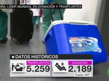 donaciones donaciones